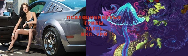 spice Алексеевка