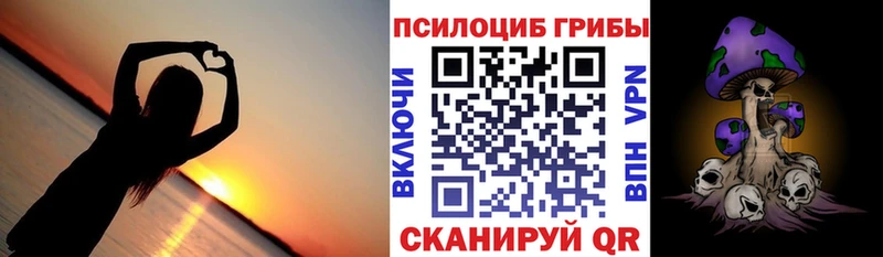 Псилоцибиновые грибы мухоморы  закладки  Кириши 