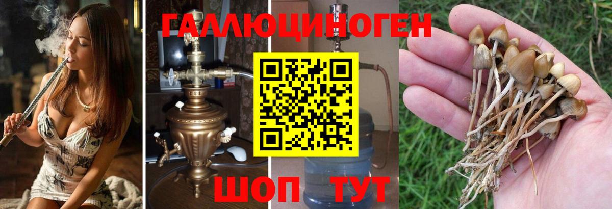 Кириши  Галлюциногенные грибы Cubensis  Галлюциногенные грибы Magic Shrooms  Вход с VPN 